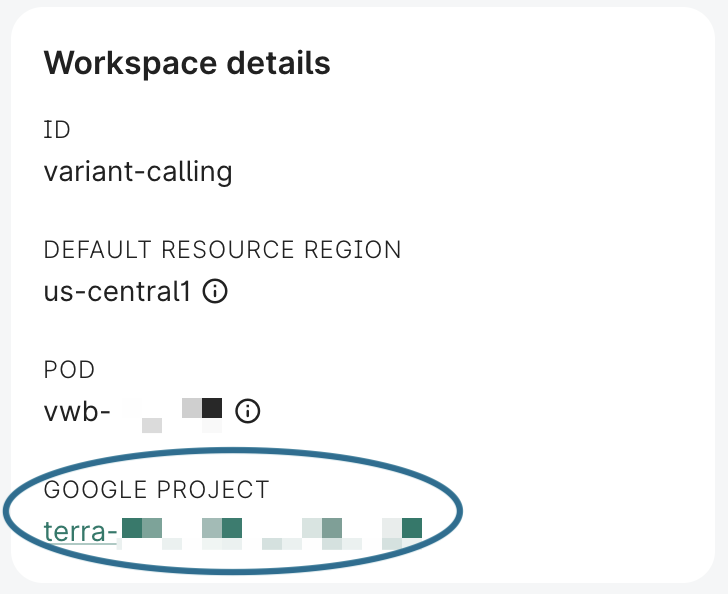 Screenshot of workspace details in Overview panel, highlighting the workspace's Google project ID.