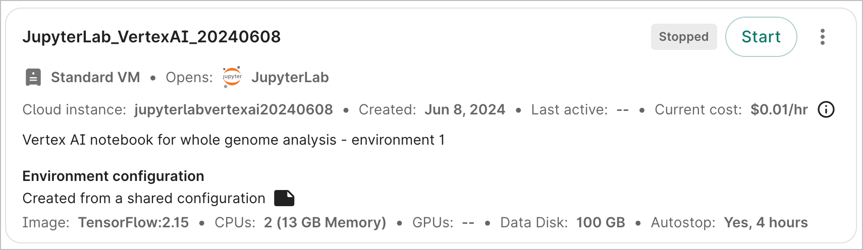 Screenshot of a cloud environment's details card, showing the newly edited description.