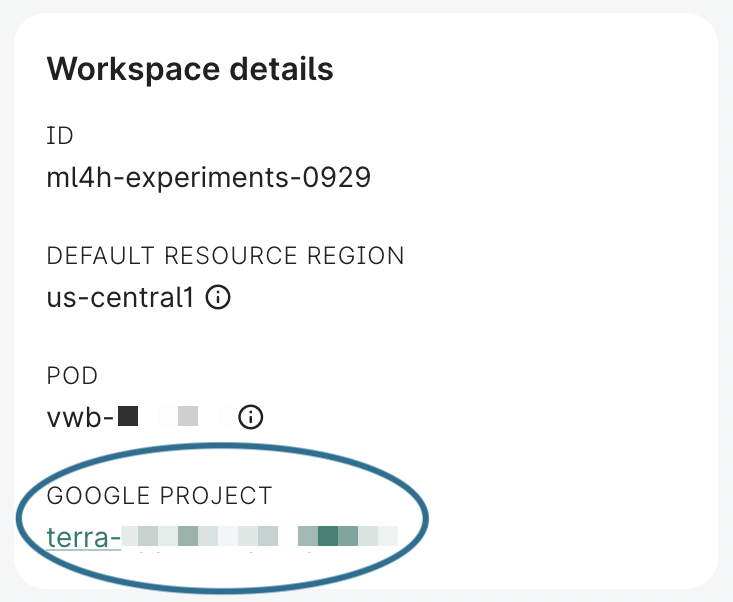 Screenshot of Workspace details panel, highlighting Google project ID.